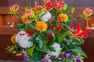祝！10周年　金子三勇士、牛田智大に花を贈ろう